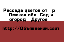 Рассада цветов от 10р - Омская обл. Сад и огород » Другое   